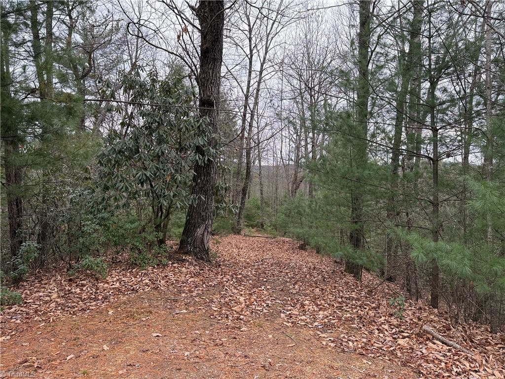 Single Family Residence at Lot 218 Casey Mountain Road, Purlear NC 28665, Purlear, photo 18 of 44