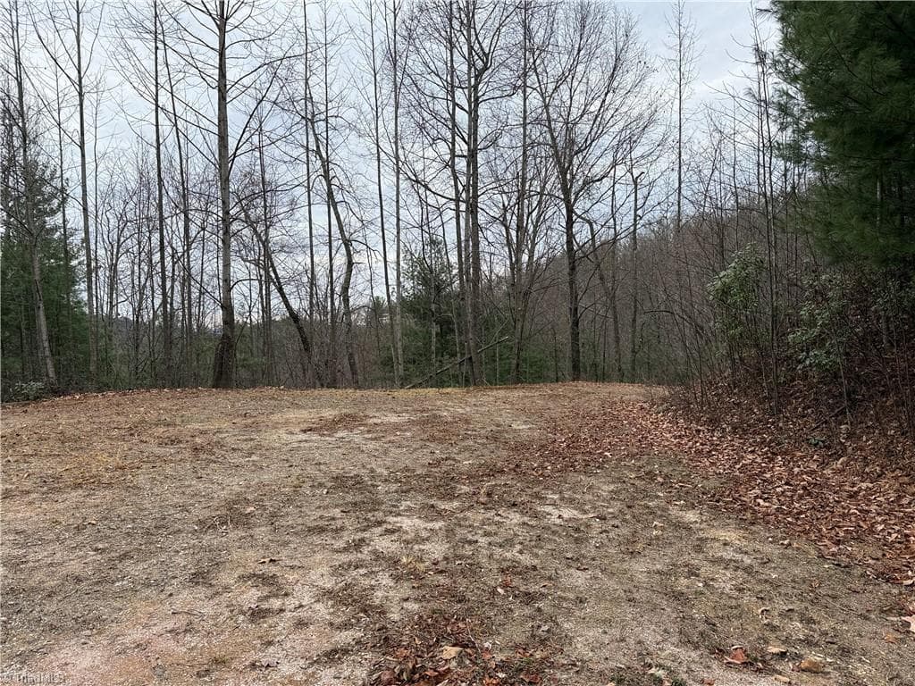Single Family Residence at Lot 218 Casey Mountain Road, Purlear NC 28665, Purlear, photo 15 of 44