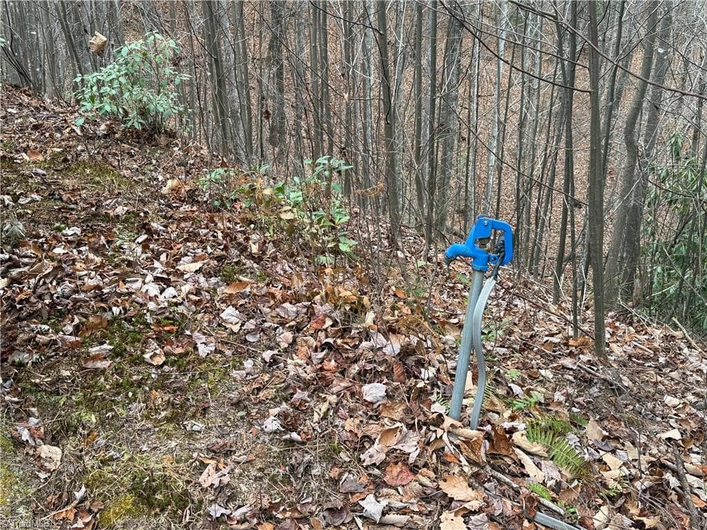 Single Family Residence at Lot 218 Casey Mountain Road, Purlear NC 28665, Purlear, photo 11 of 44