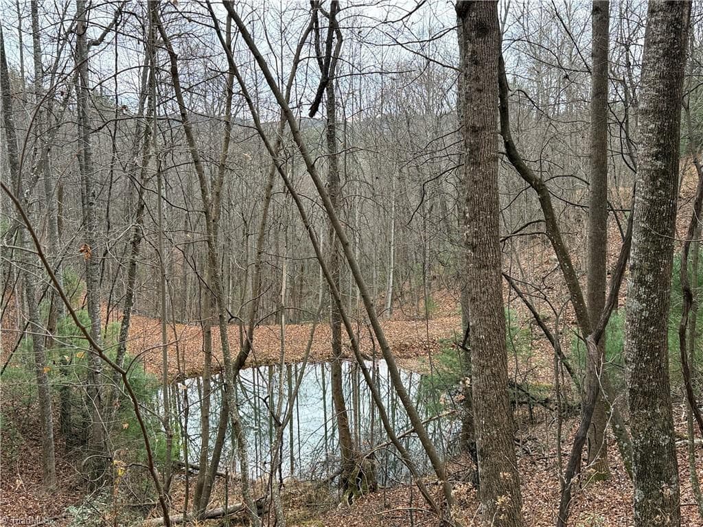 Single Family Residence at Lot 218 Casey Mountain Road, Purlear NC 28665, Purlear, photo 19 of 44