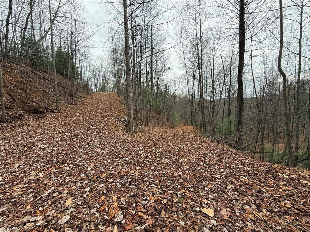 Single Family Residence at Lot 218 Casey Mountain Road, Purlear NC 28665, Purlear, photo 8 of 44