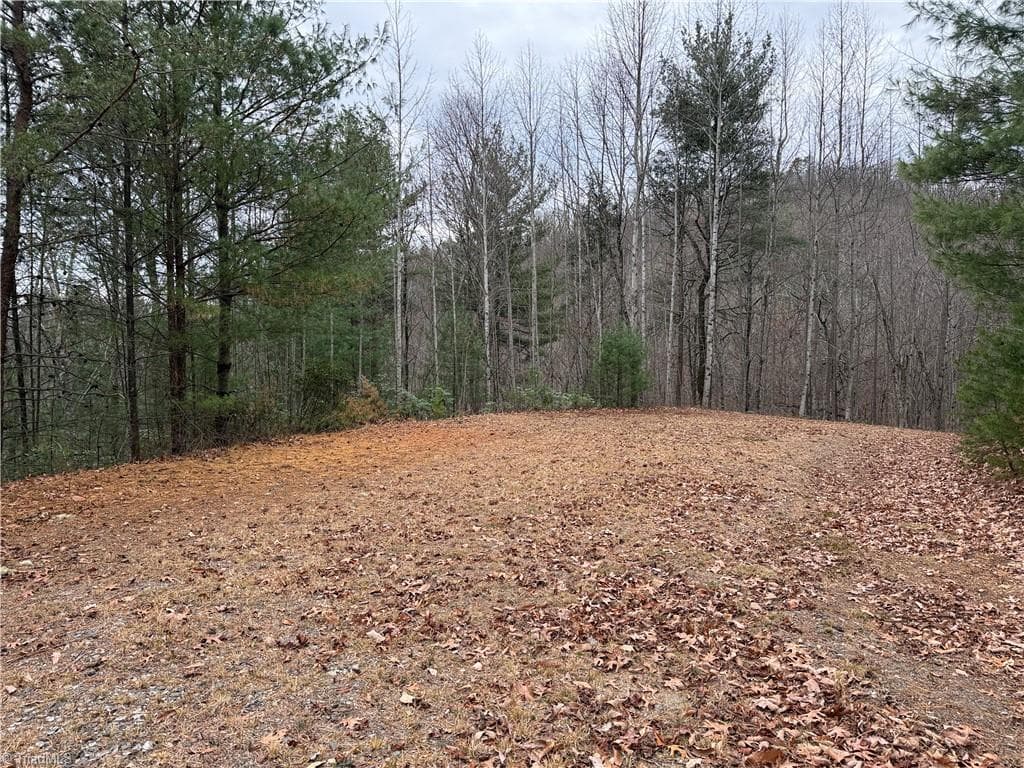 Single Family Residence at Lot 218 Casey Mountain Road, Purlear NC 28665, Purlear, photo 21 of 44