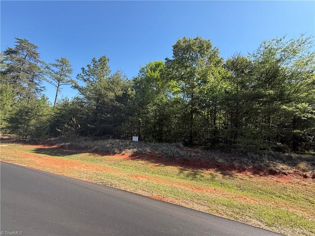 Single Family Residence at 176 Lake View Pass, Rockingham NC 28379, photo 5 of 12
