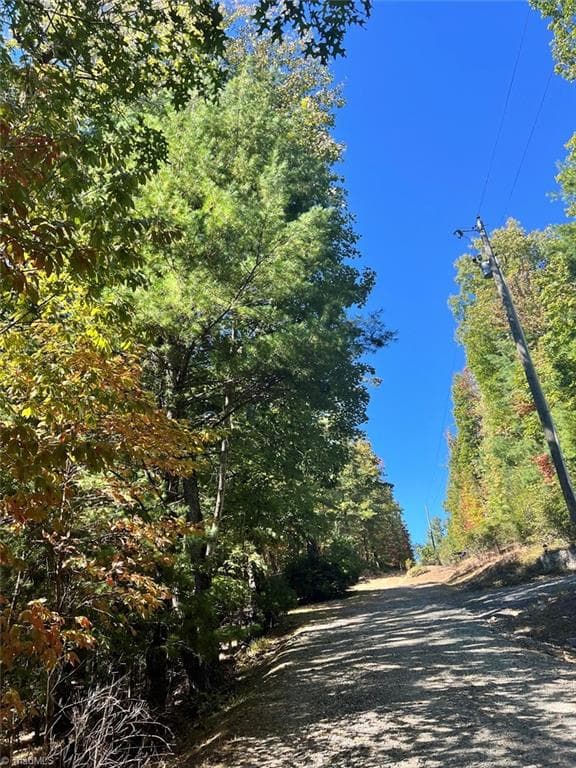 Unimproved Land at 8 Laurel Road, Purlear NC 28665, photo 3 of 3