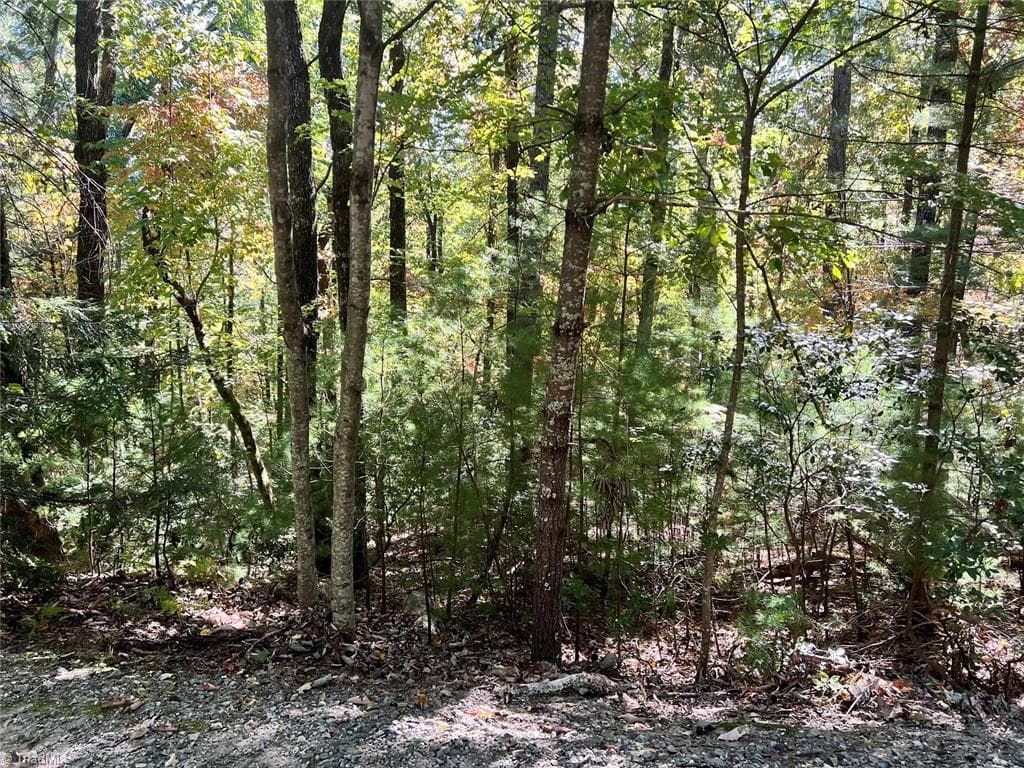 8 Laurel Road, Purlear NC 28665