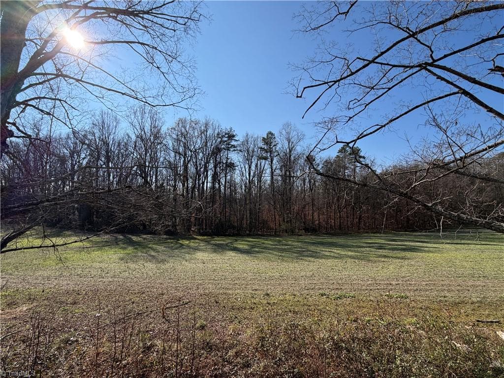 Single Family Residence at 00 Conrad Road, Lewisville NC 27023, photo 2 of 3