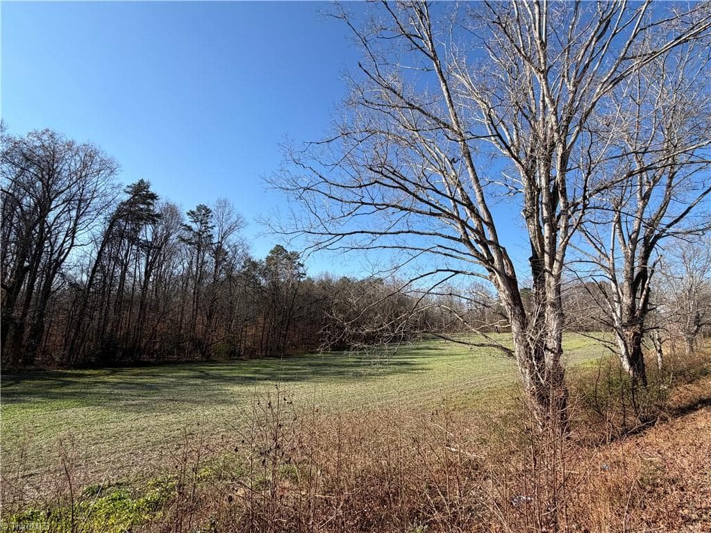 00 Conrad Road, Lewisville NC 27023