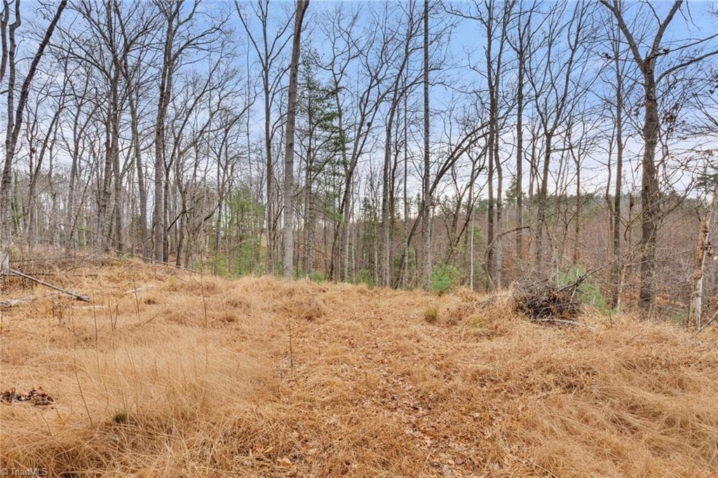 Single Family Residence at TBD Cedar Trail, Mount Airy NC 27030, Mount Airy, photo 11 of 42