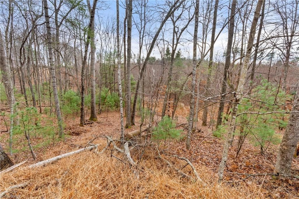 Single Family Residence at TBD Cedar Trail, Mount Airy NC 27030, Mount Airy, photo 23 of 42