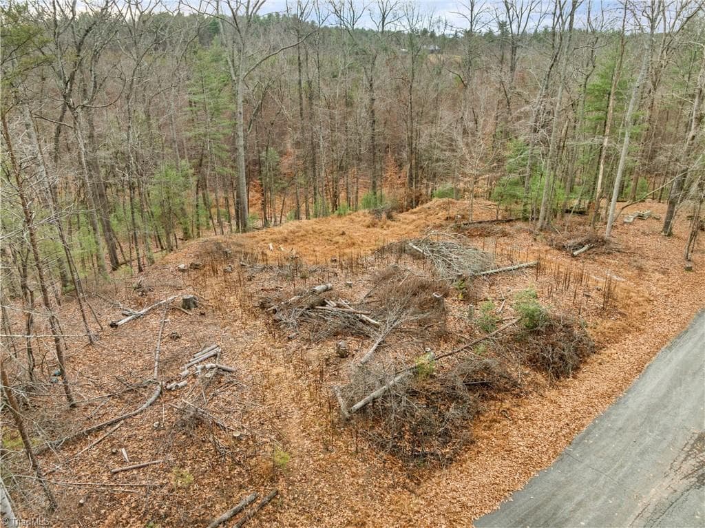 Single Family Residence at TBD Cedar Trail, Mount Airy NC 27030, Mount Airy, photo 13 of 42