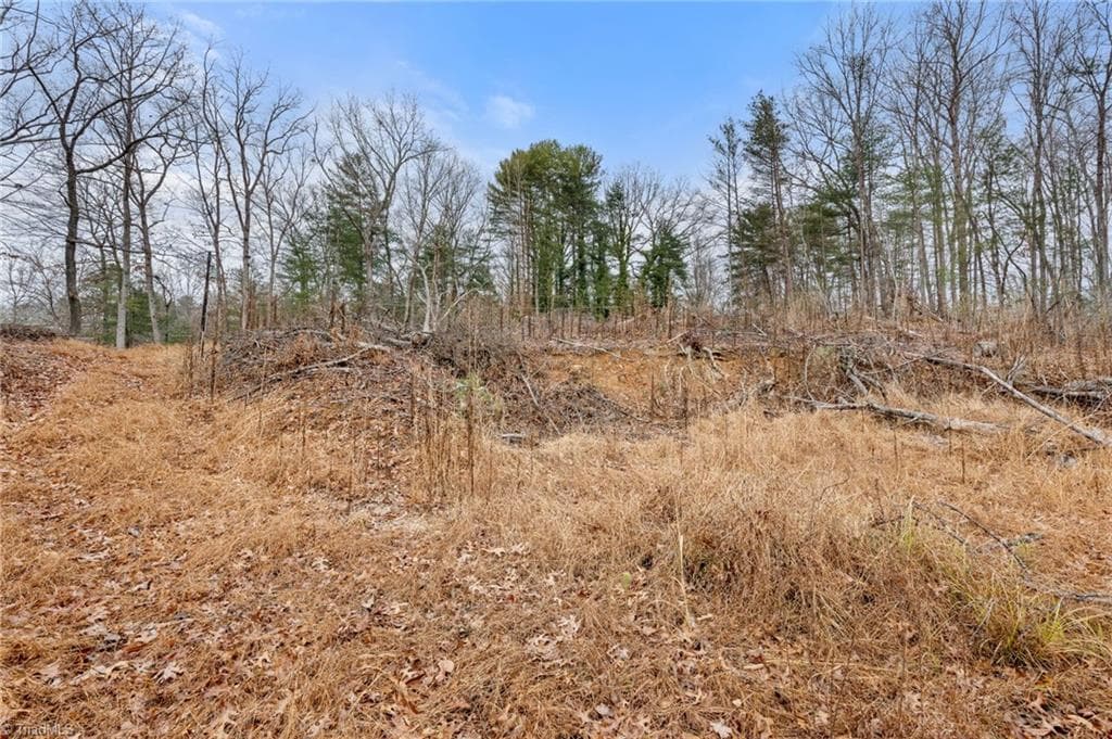 Single Family Residence at TBD Cedar Trail, Mount Airy NC 27030, Mount Airy, photo 9 of 42