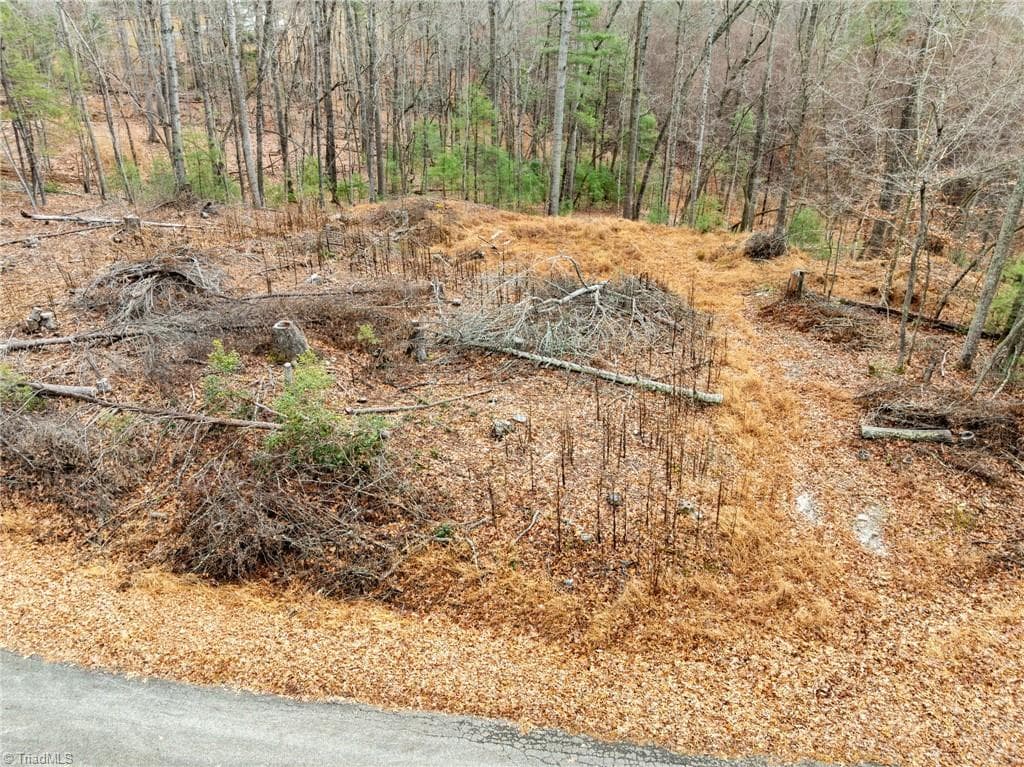 Single Family Residence at TBD Cedar Trail, Mount Airy NC 27030, Mount Airy, photo 17 of 42
