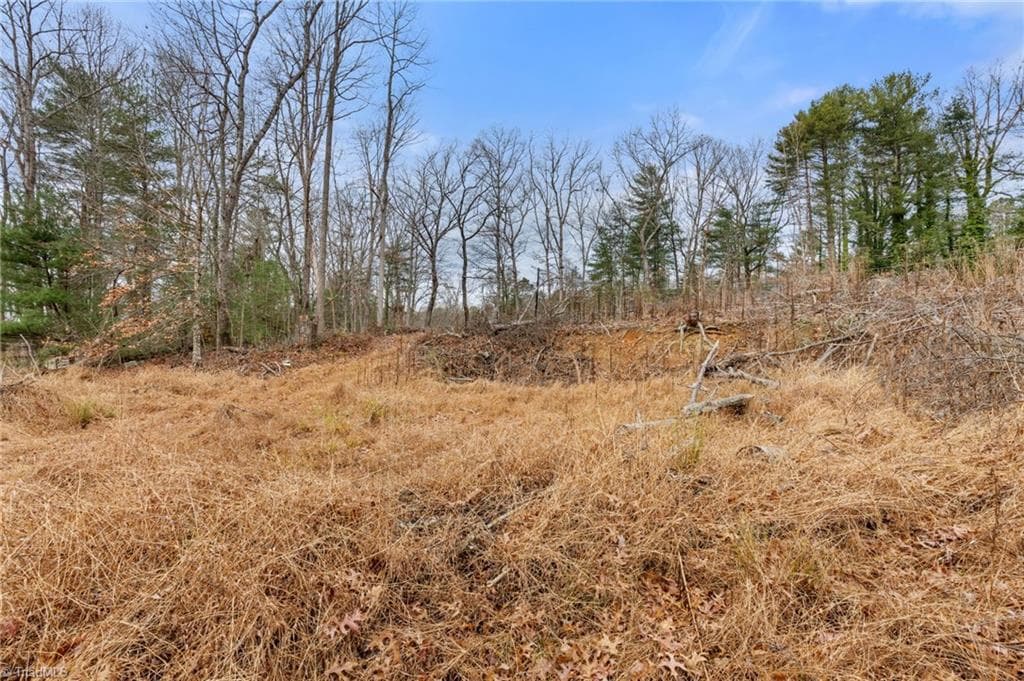 Single Family Residence at TBD Cedar Trail, Mount Airy NC 27030, Mount Airy, photo 27 of 42