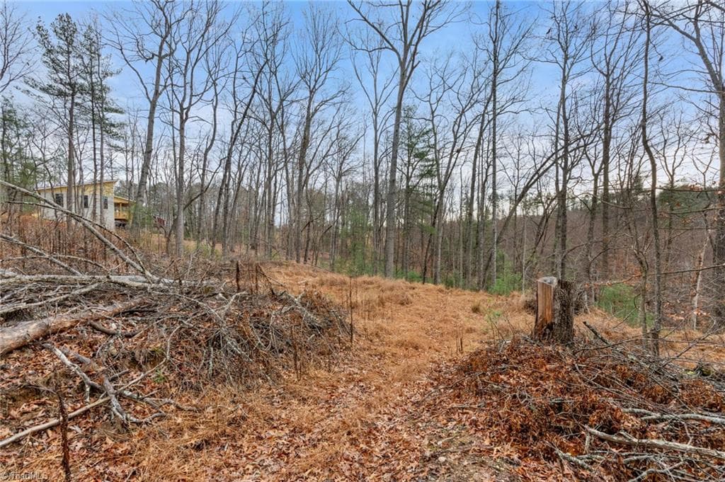 Single Family Residence at TBD Cedar Trail, Mount Airy NC 27030, Mount Airy, photo 29 of 42