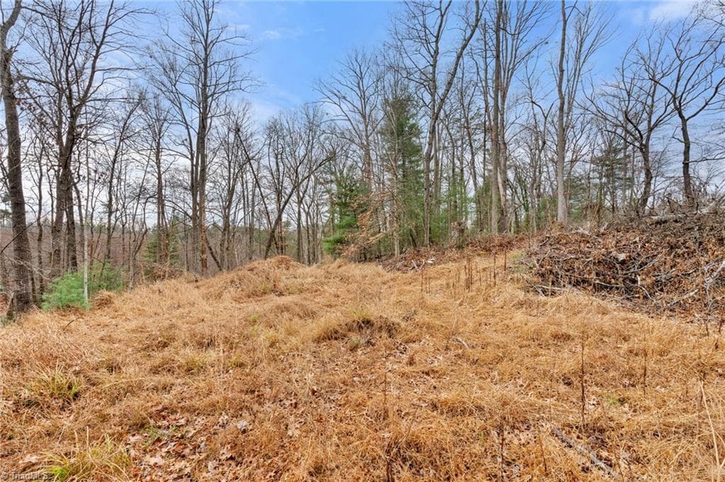 Single Family Residence at TBD Cedar Trail, Mount Airy NC 27030, Mount Airy, photo 21 of 42