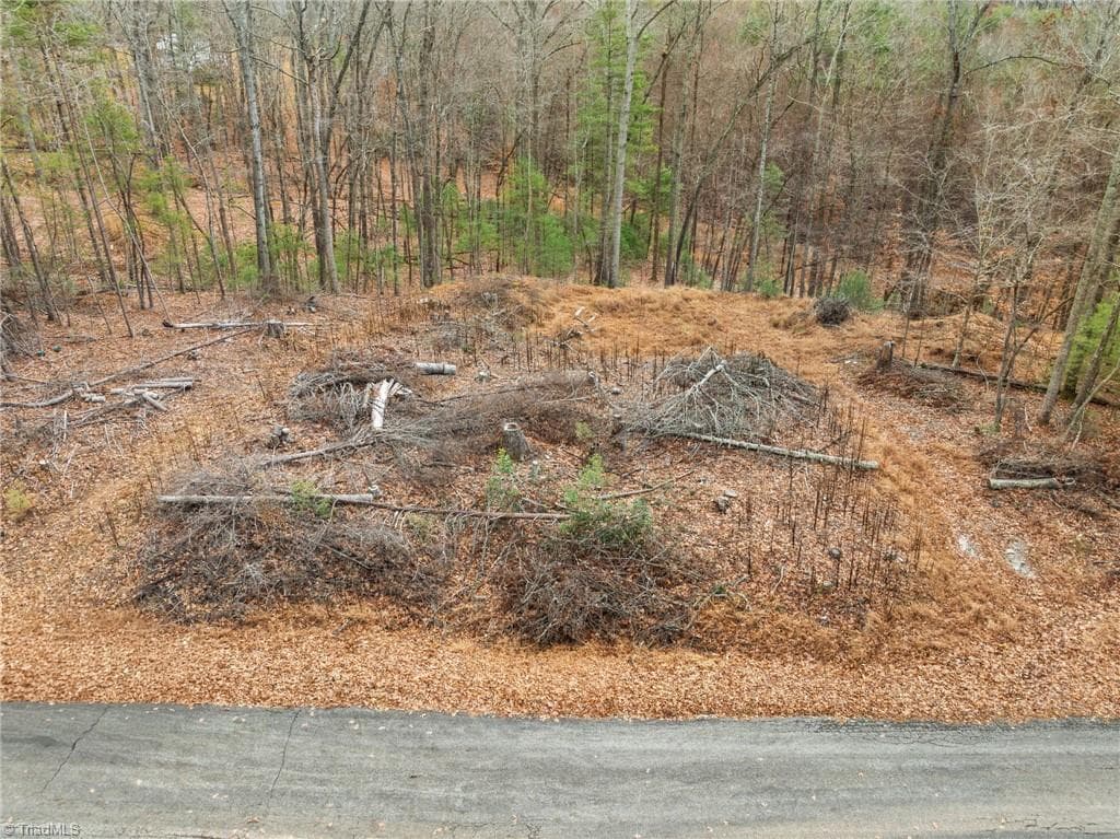 Single Family Residence at TBD Cedar Trail, Mount Airy NC 27030, Mount Airy, photo 37 of 42