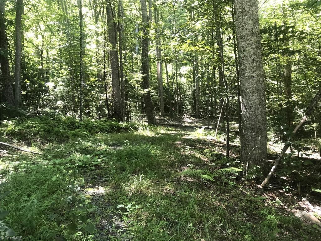 Unimproved Land at TBD Lot 28 Sonterra Drive, Lansing NC 28643, photo 6 of 8