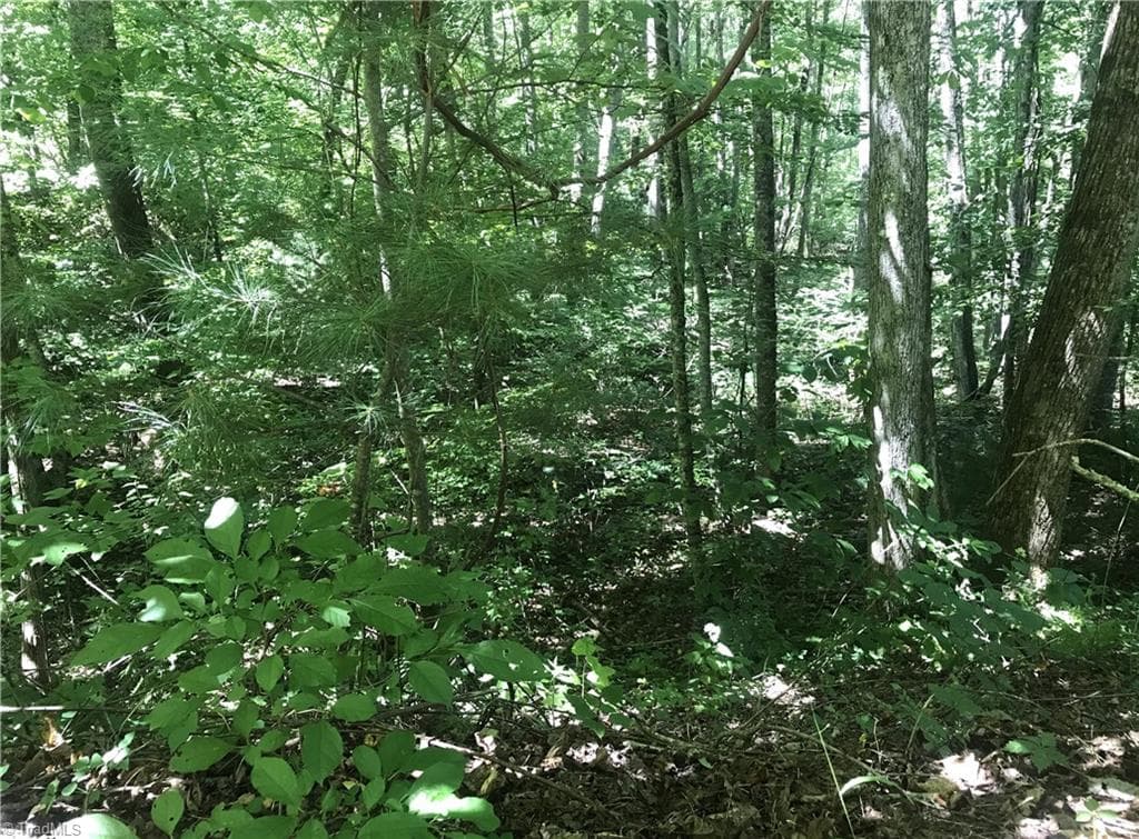Unimproved Land at TBD Lot 28 Sonterra Drive, Lansing NC 28643, photo 7 of 8