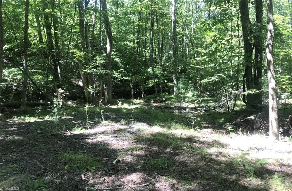 Unimproved Land at TBD Lot 28 Sonterra Drive, Lansing NC 28643, photo 3 of 8
