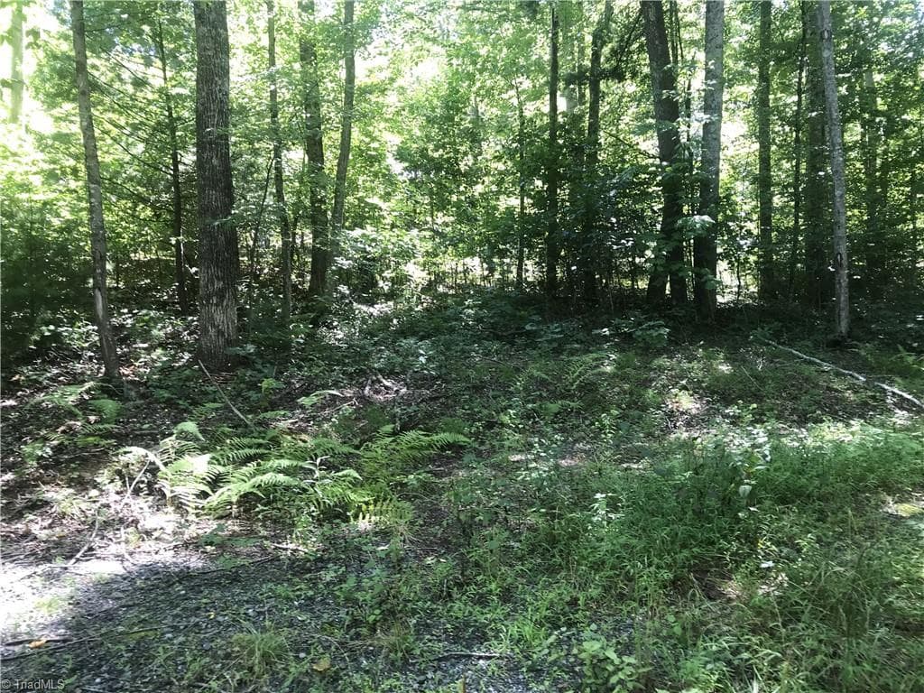 Unimproved Land at TBD Lot 28 Sonterra Drive, Lansing NC 28643, photo 5 of 8