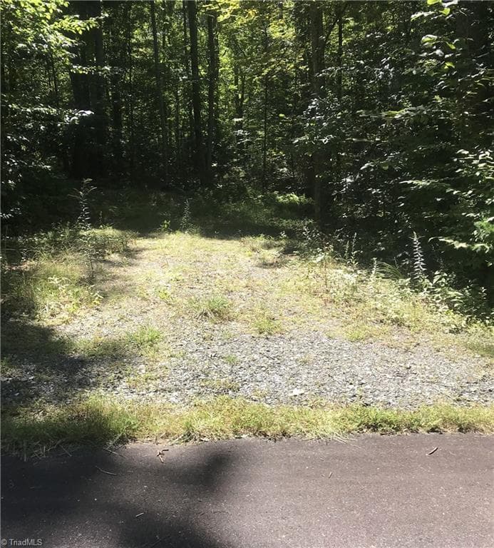 Unimproved Land at TBD Lot 28 Sonterra Drive, Lansing NC 28643, photo 4 of 8