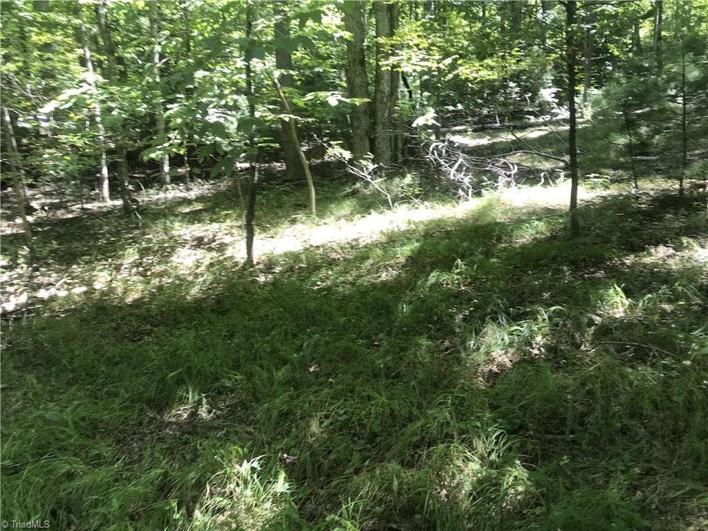Unimproved Land at TBD Lot 28 Sonterra Drive, Lansing NC 28643, photo 8 of 8
