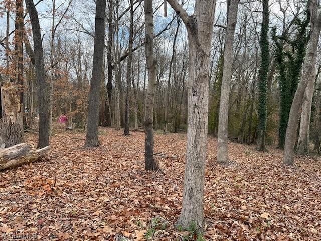 926 Greensboro Street Extension, Lexington NC 27292