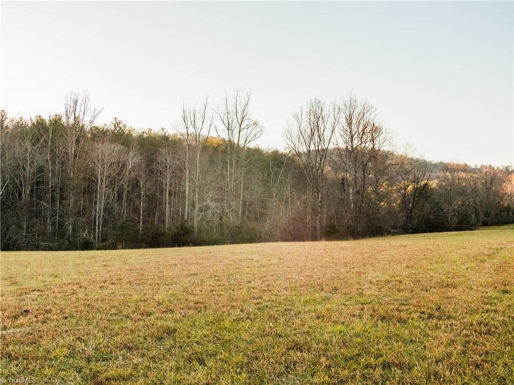 Unimproved Land at TBD Antler Drive, McGrady NC 28649, McGrady, photo 5 of 7