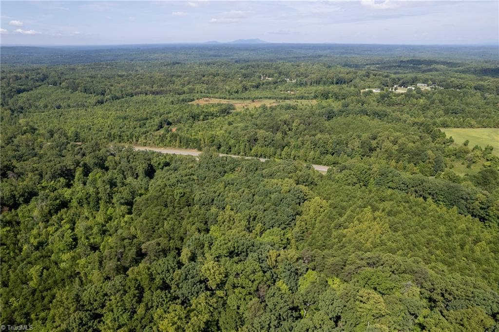 Unimproved Land at 0 Highway 220, Stoneville NC 27048, photo 5 of 11