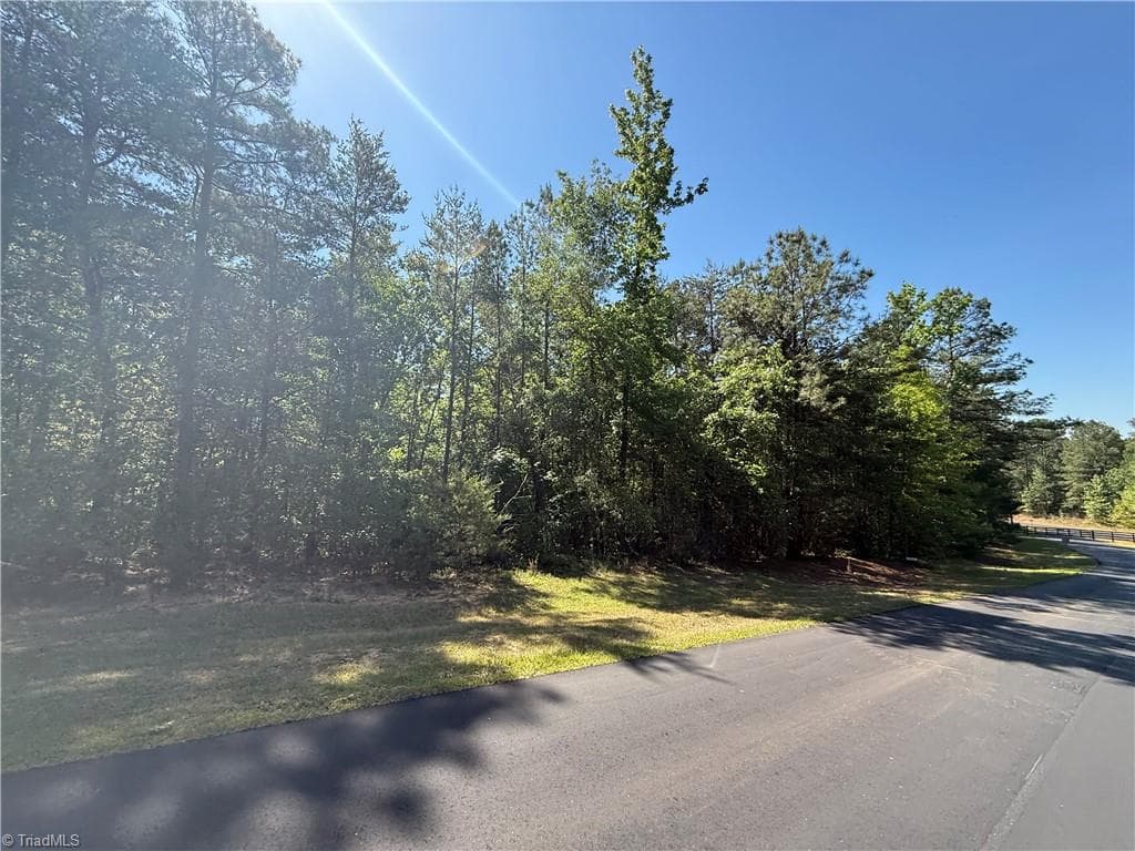 Single Family Residence at 114 Lake View Pass, Rockingham NC 28379, photo 8 of 17