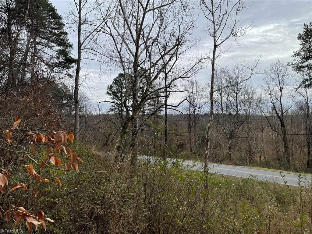 Remarks at TBD-000 E Main Street, Elkin NC 27041, photo 7 of 11