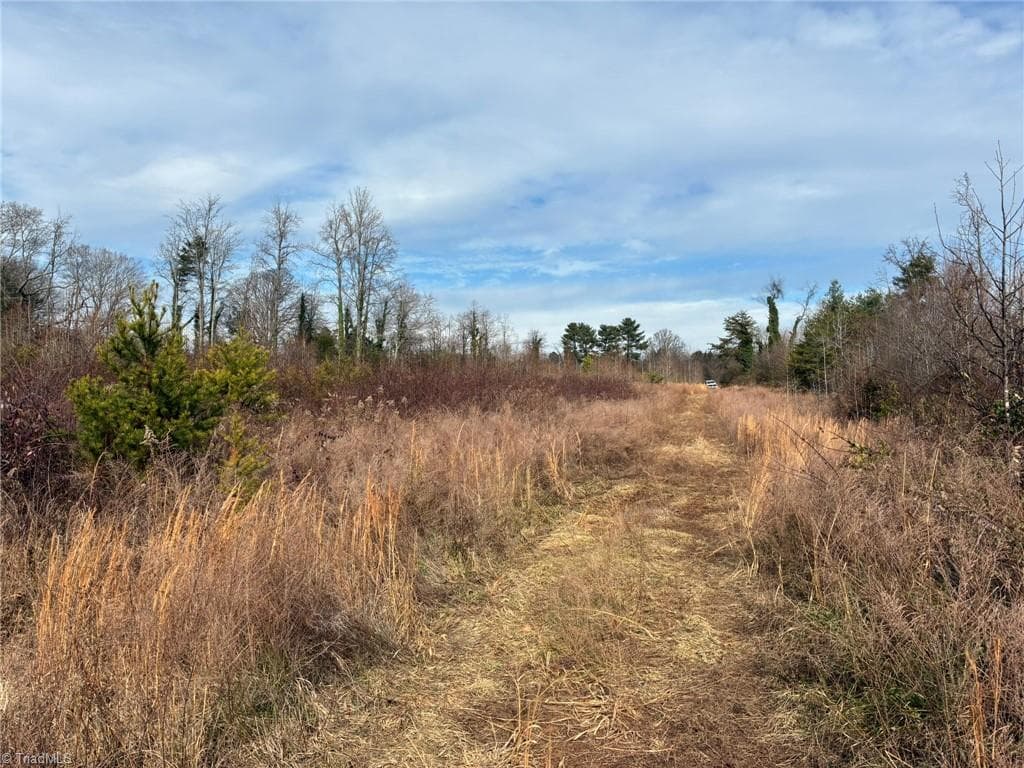 Unimproved Land at 9033 Stack Road, Colfax NC 27235, photo 7 of 10