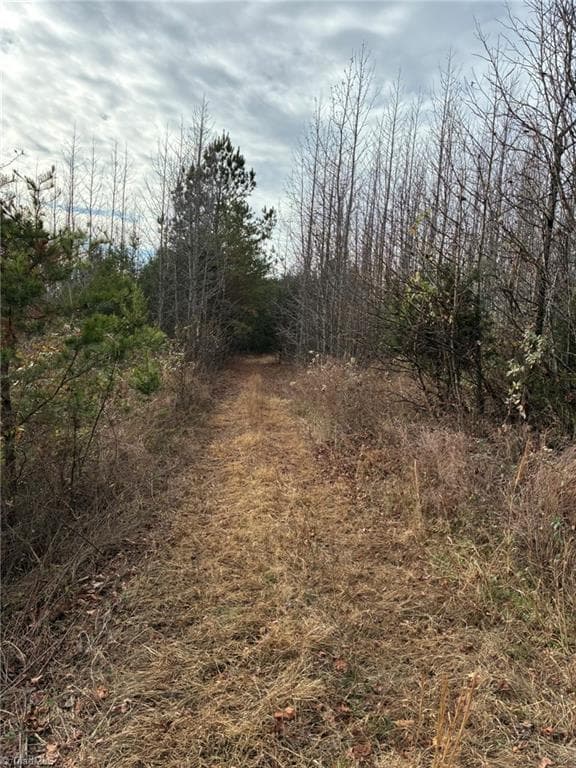 Unimproved Land at 9033 Stack Road, Colfax NC 27235, photo 9 of 10