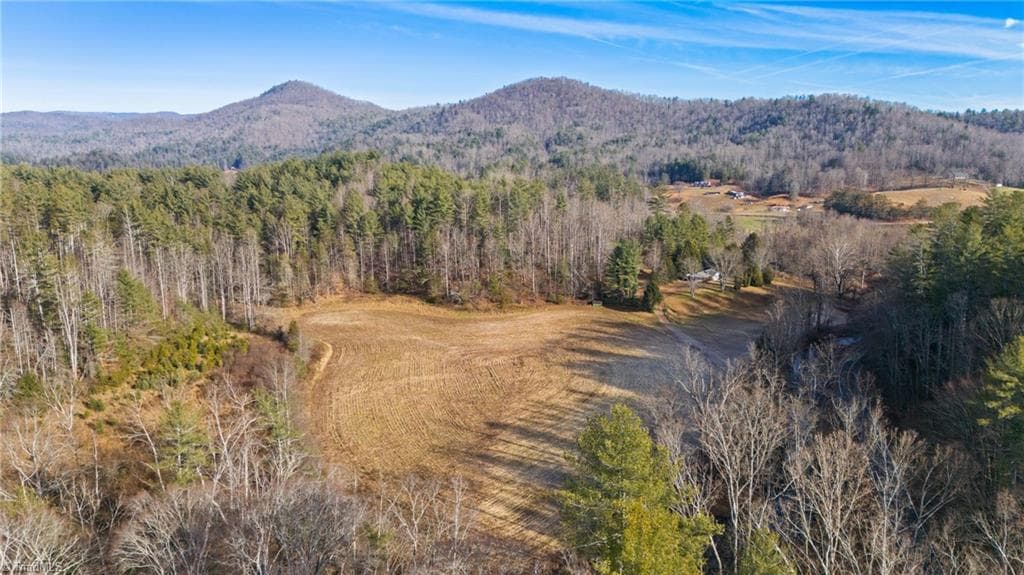 Stick/Site Built at 1325 Colvard Road, Millers Creek NC 28651, photo 11 of 47