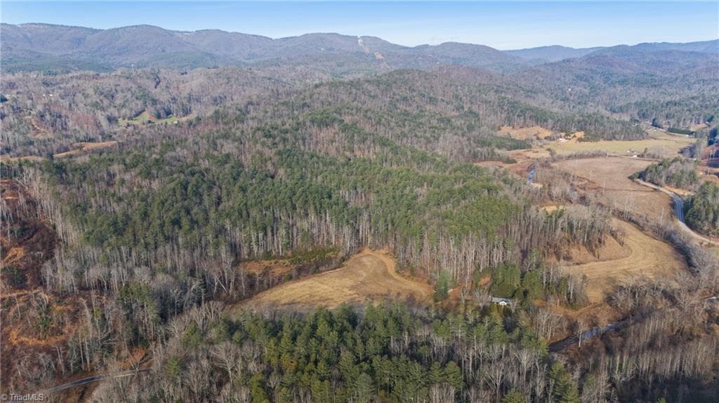 Stick/Site Built at 1325 Colvard Road, Millers Creek NC 28651, photo 4 of 47