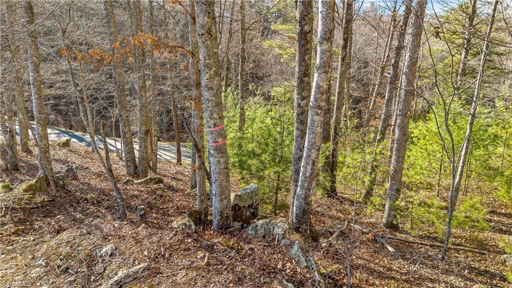 TBD River Stone Drive, Laurel Springs NC 28644