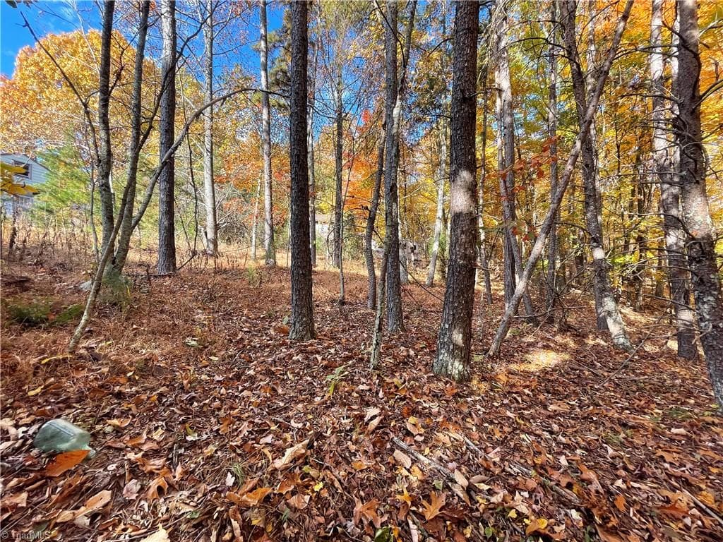 Agriculture at 1928 Frye Road, Westfield NC 27053, photo 6 of 23