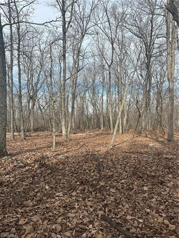 1527 Sierra Trace Road, Denton NC 27239