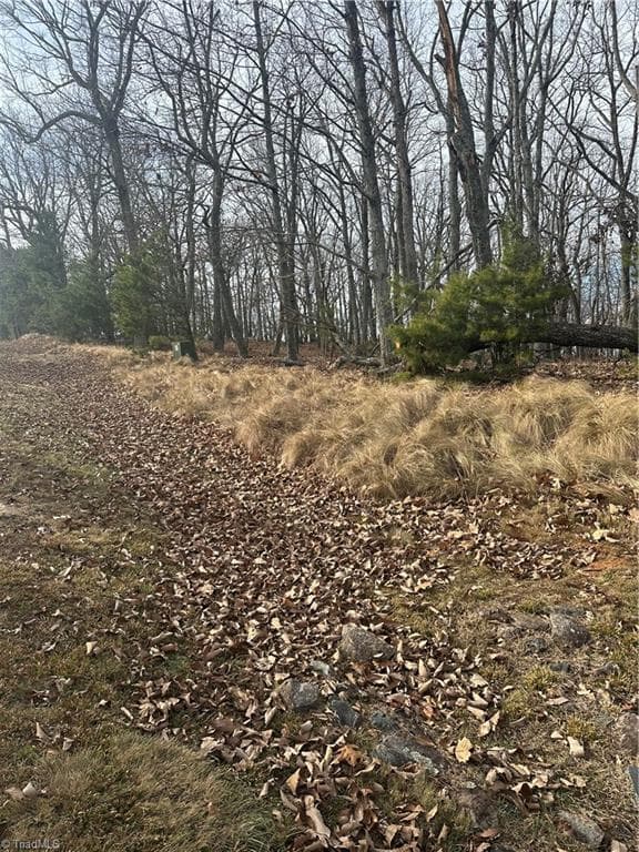 Single Family Residence at 1527 Sierra Trace Road, Denton NC 27239, Denton, photo 10 of 15