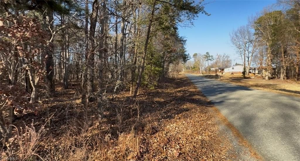 Unimproved Land at 0 First Park Avenue, Randleman NC 27317, photo 2 of 22