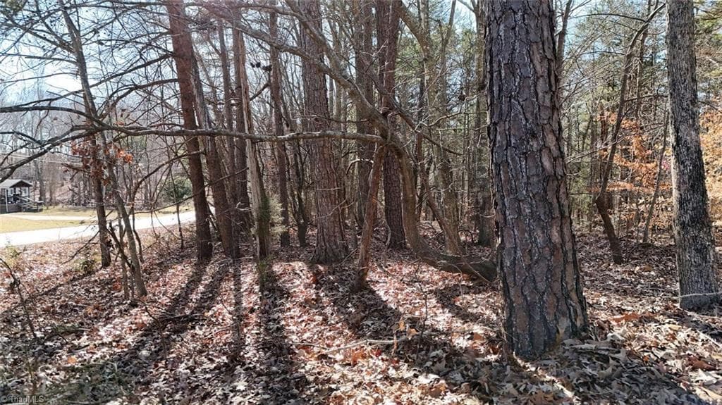 Unimproved Land at 0 First Park Avenue, Randleman NC 27317, photo 6 of 22