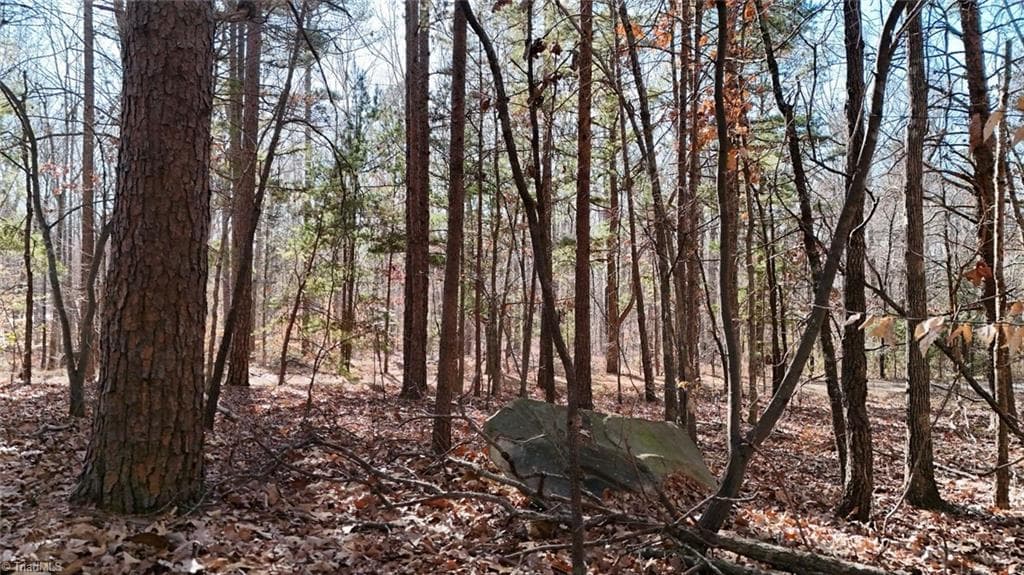 Unimproved Land at 0 First Park Avenue, Randleman NC 27317, photo 12 of 22