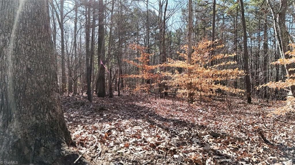 Unimproved Land at 0 First Park Avenue, Randleman NC 27317, photo 7 of 22