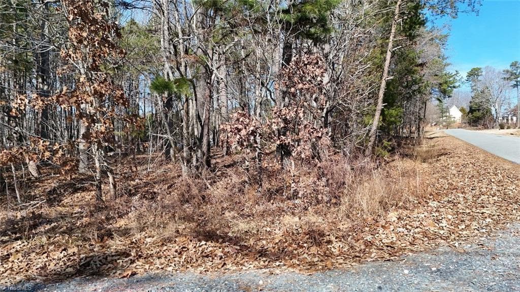 Unimproved Land at 0 First Park Avenue, Randleman NC 27317, photo 3 of 22