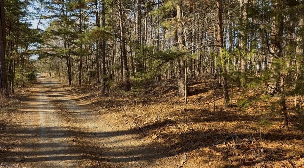 0 First Park Avenue, Randleman NC 27317