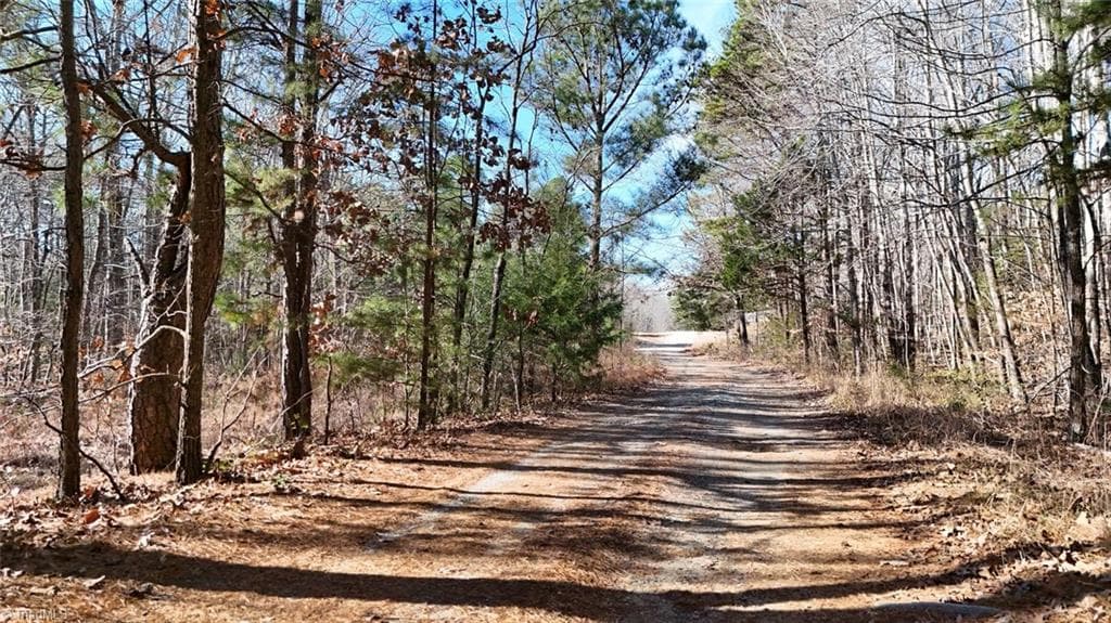 Unimproved Land at 0 First Park Avenue, Randleman NC 27317, photo 9 of 22
