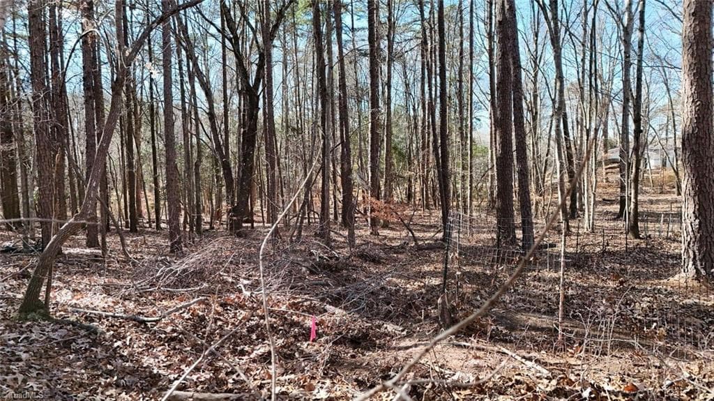 Unimproved Land at 0 First Park Avenue, Randleman NC 27317, photo 10 of 22