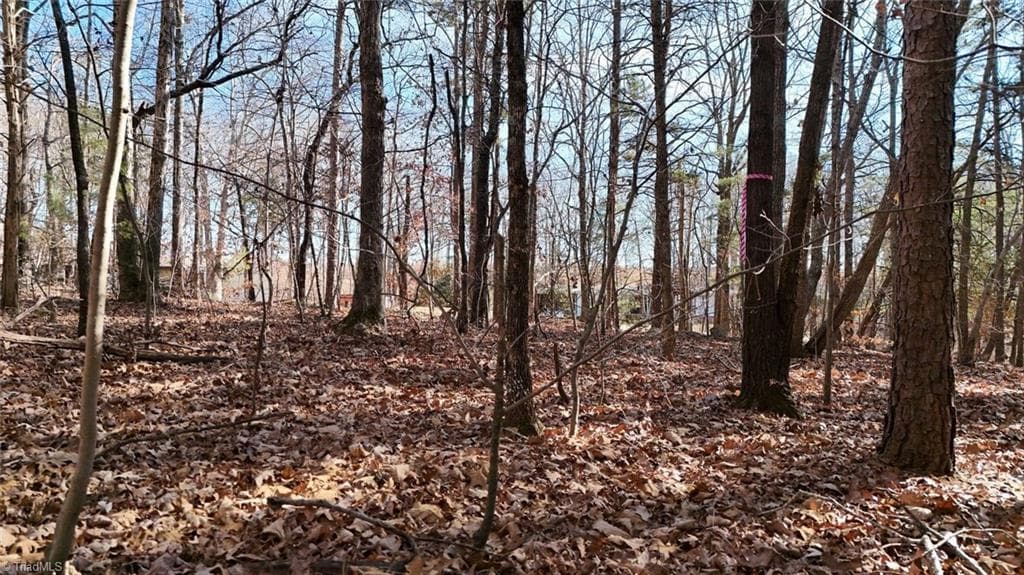 Unimproved Land at 0 First Park Avenue, Randleman NC 27317, photo 11 of 22