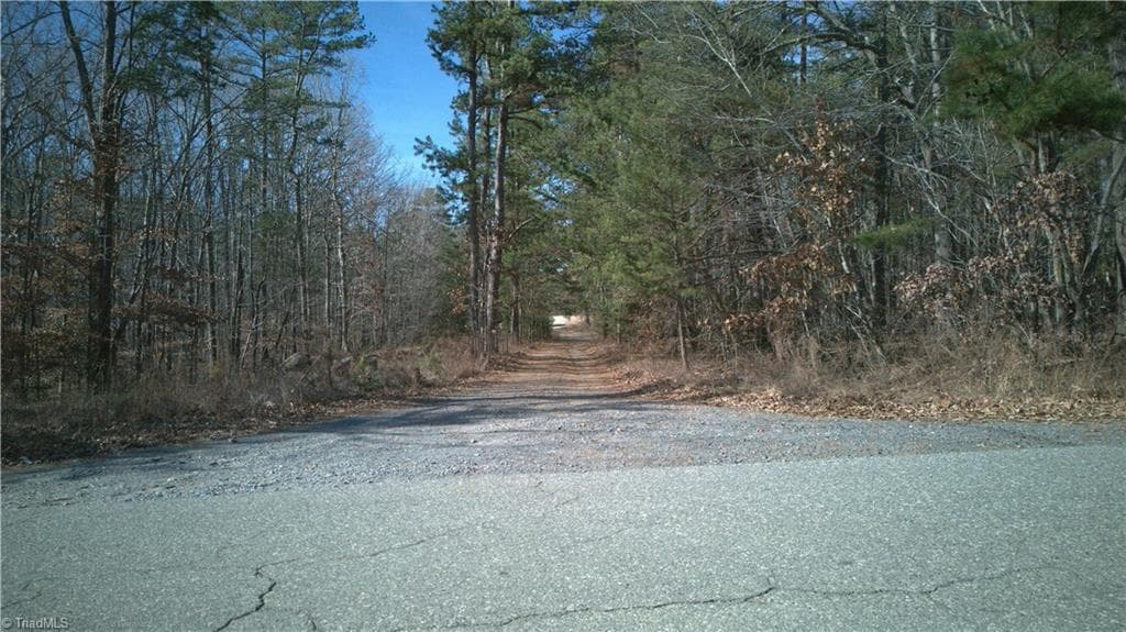 Unimproved Land at 0 First Park Avenue, Randleman NC 27317, photo 4 of 22