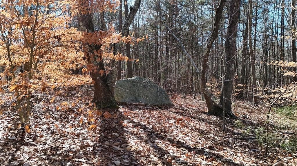 Unimproved Land at 0 First Park Avenue, Randleman NC 27317, photo 8 of 22